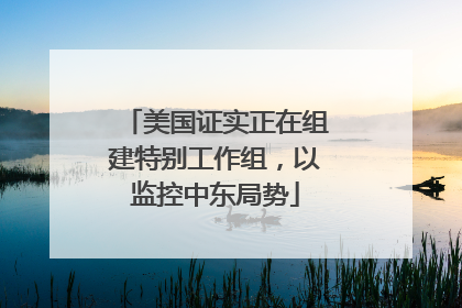 美国证实正在组建特别工作组，以监控中东局势